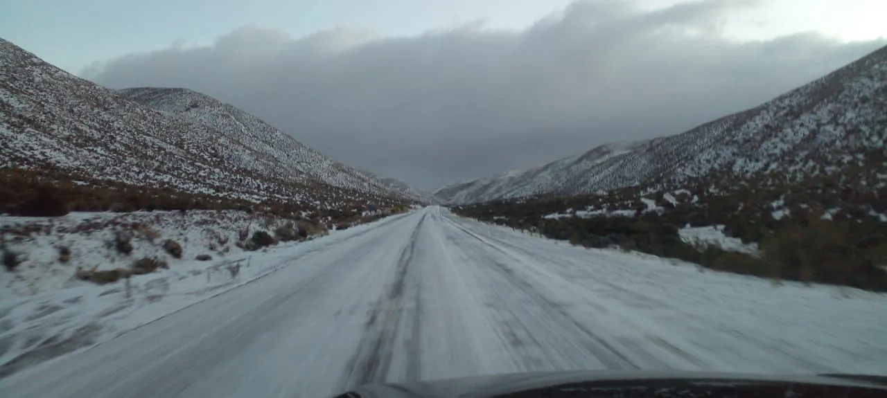 WhatsApp Image 2025-06-14 at 8.59.30 AM (1)