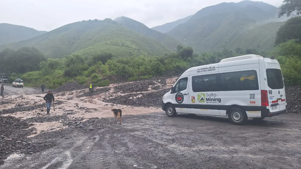 WhatsApp Image 2025-03-08 at 11.08.49