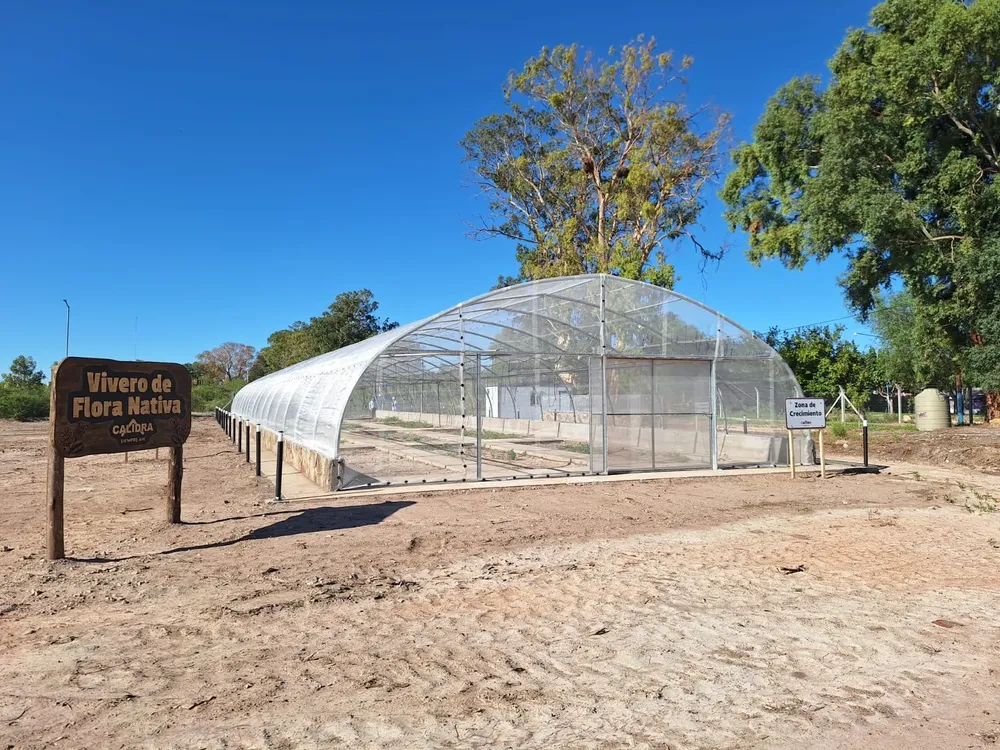 Proyecto Vivero D