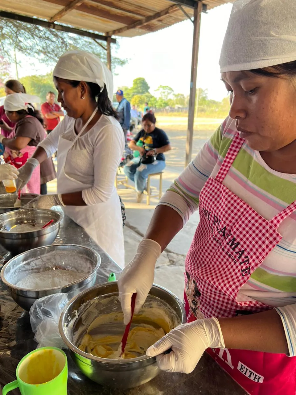 Asociar Energia Salta - Agosto 2024 2