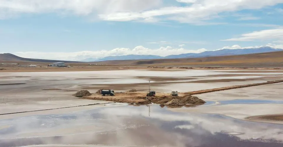 2021-04-HMN-Li-project-001-c