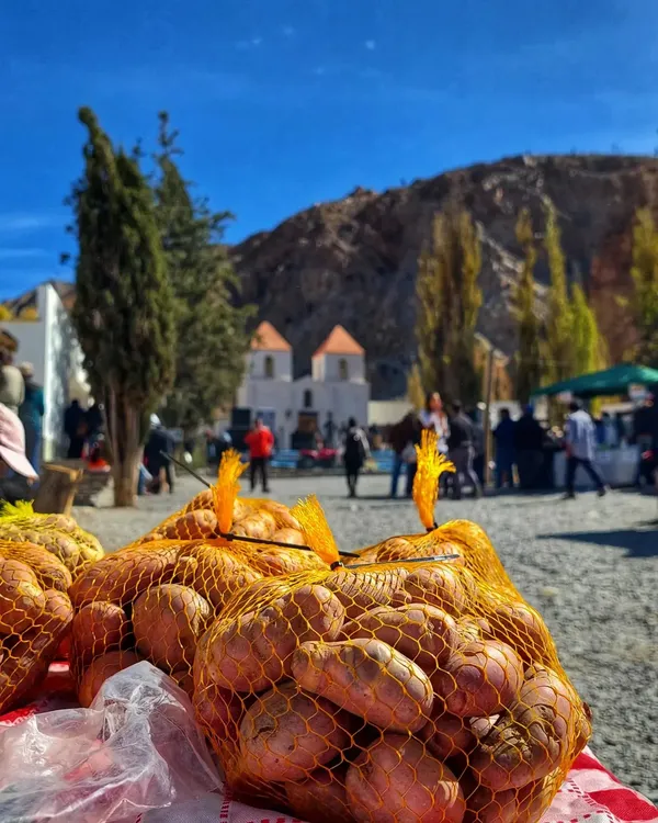 355685047_715933683873508_1394080570501040622_n