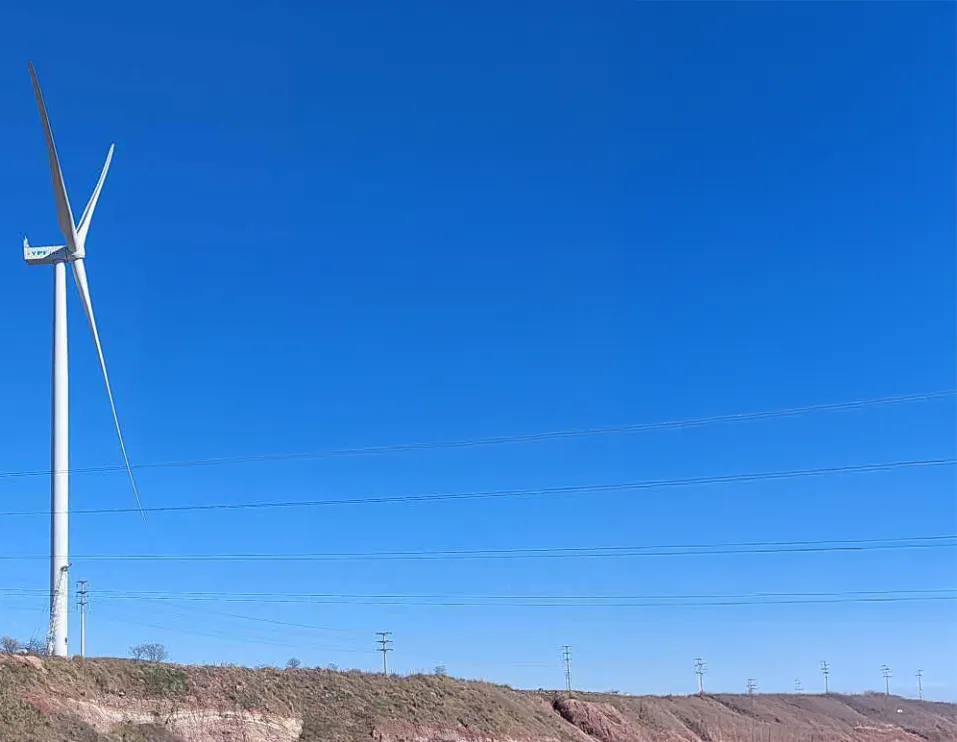 Screenshot 2025-07-06 at 10-08-24 YPF Luz PECASA - document.pdf